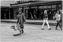 cat walk