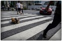 Tokyo 6-2017 #2
